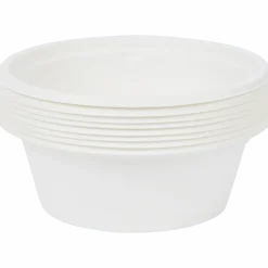 Bagasse kommen