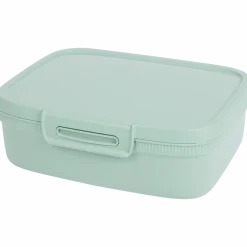 Curver lunchbox met divider
