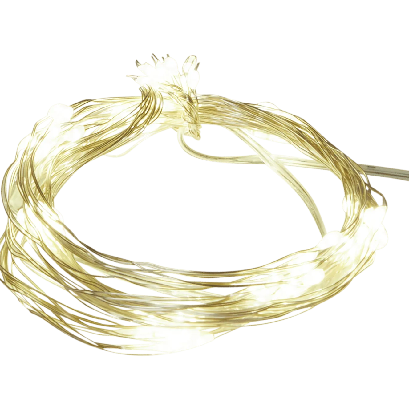 Draadbundel
