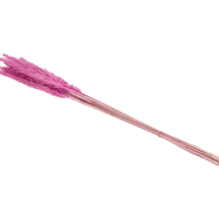 Droogboeket