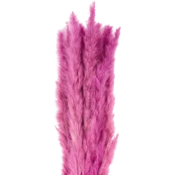 Droogboeket
