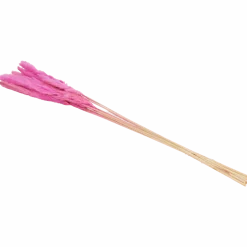 Droogboeket
