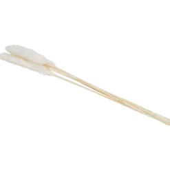 Droogboeket