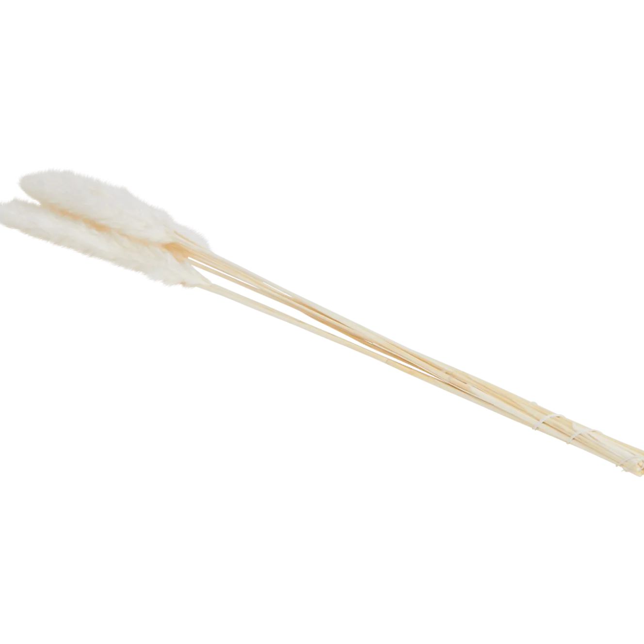 Droogboeket