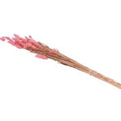 Droogboeket