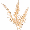 Gouden kunsttak