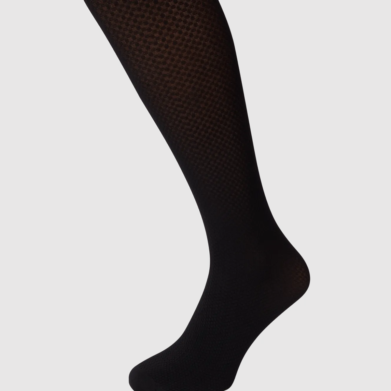 Kate Legwear fashion panty