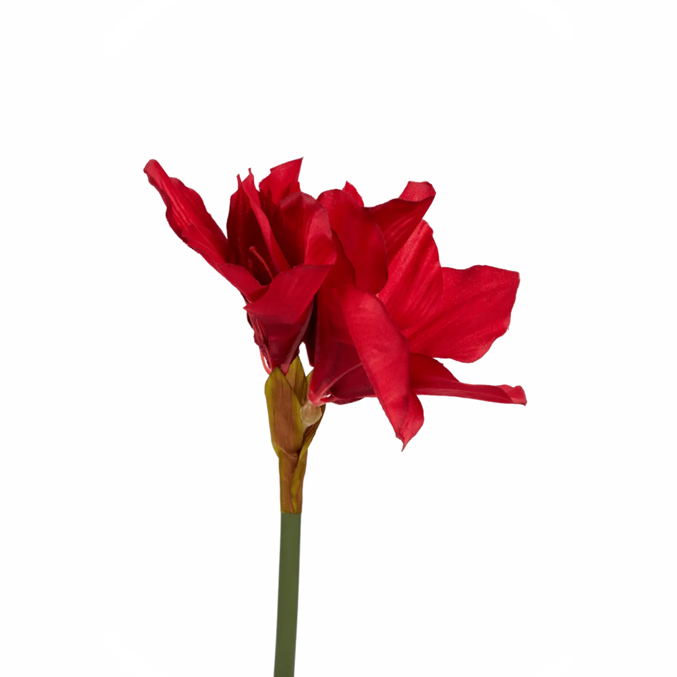 Kunstamaryllis op steel