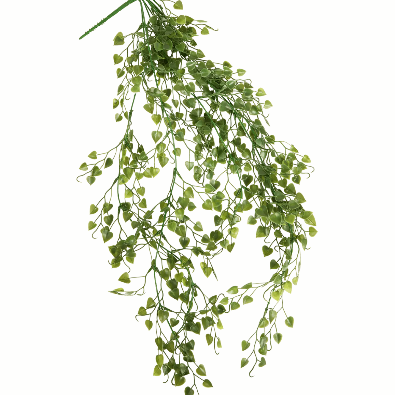 Kunsthangplant