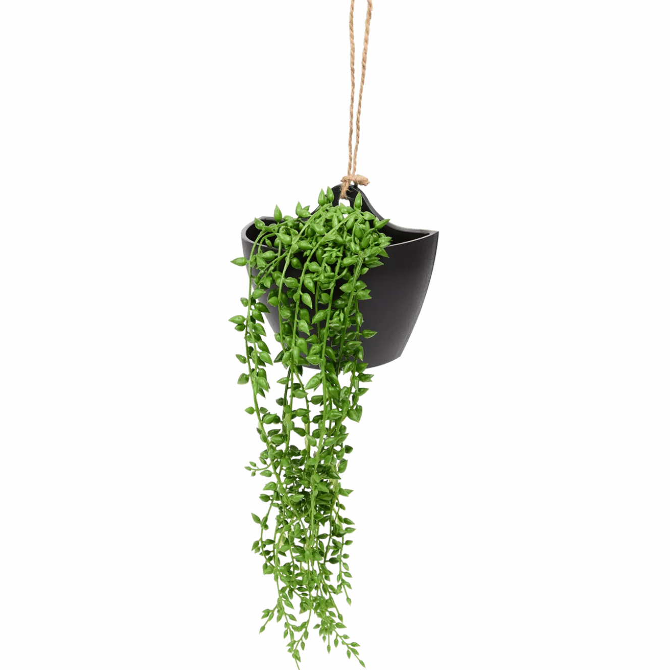 Kunsthangplant