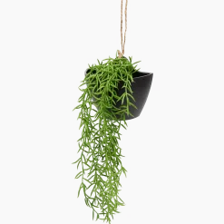 Kunsthangplant