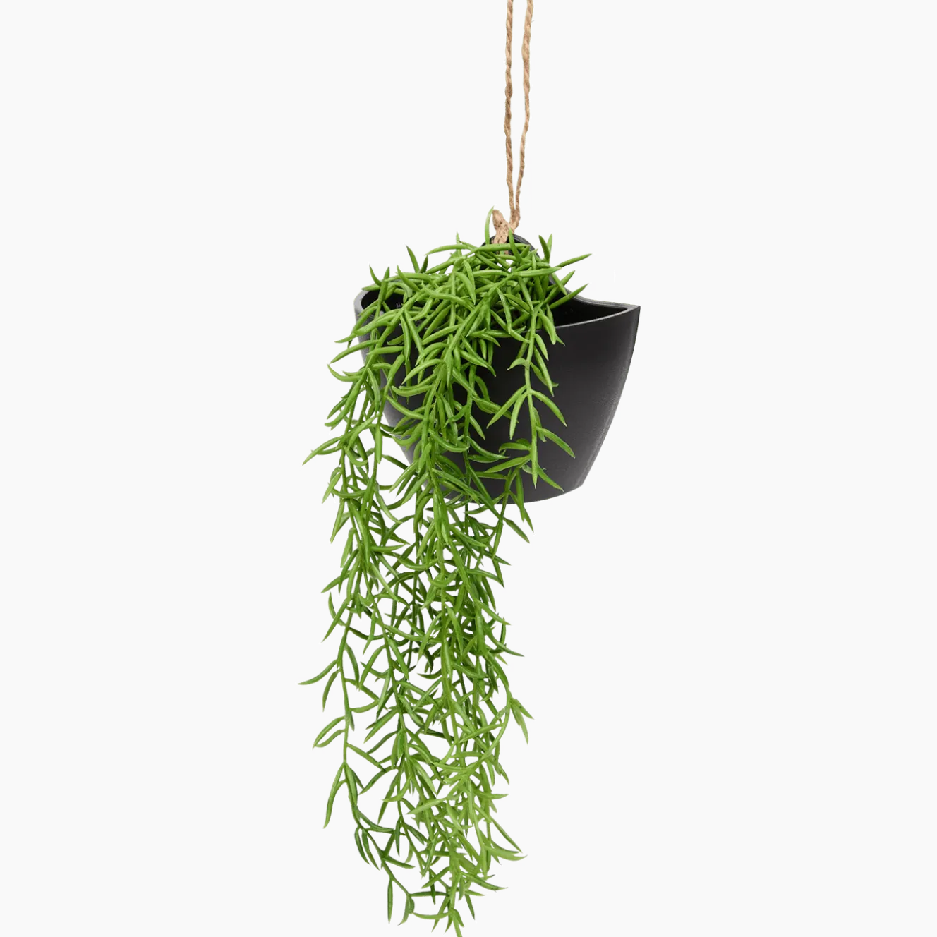 Kunsthangplant