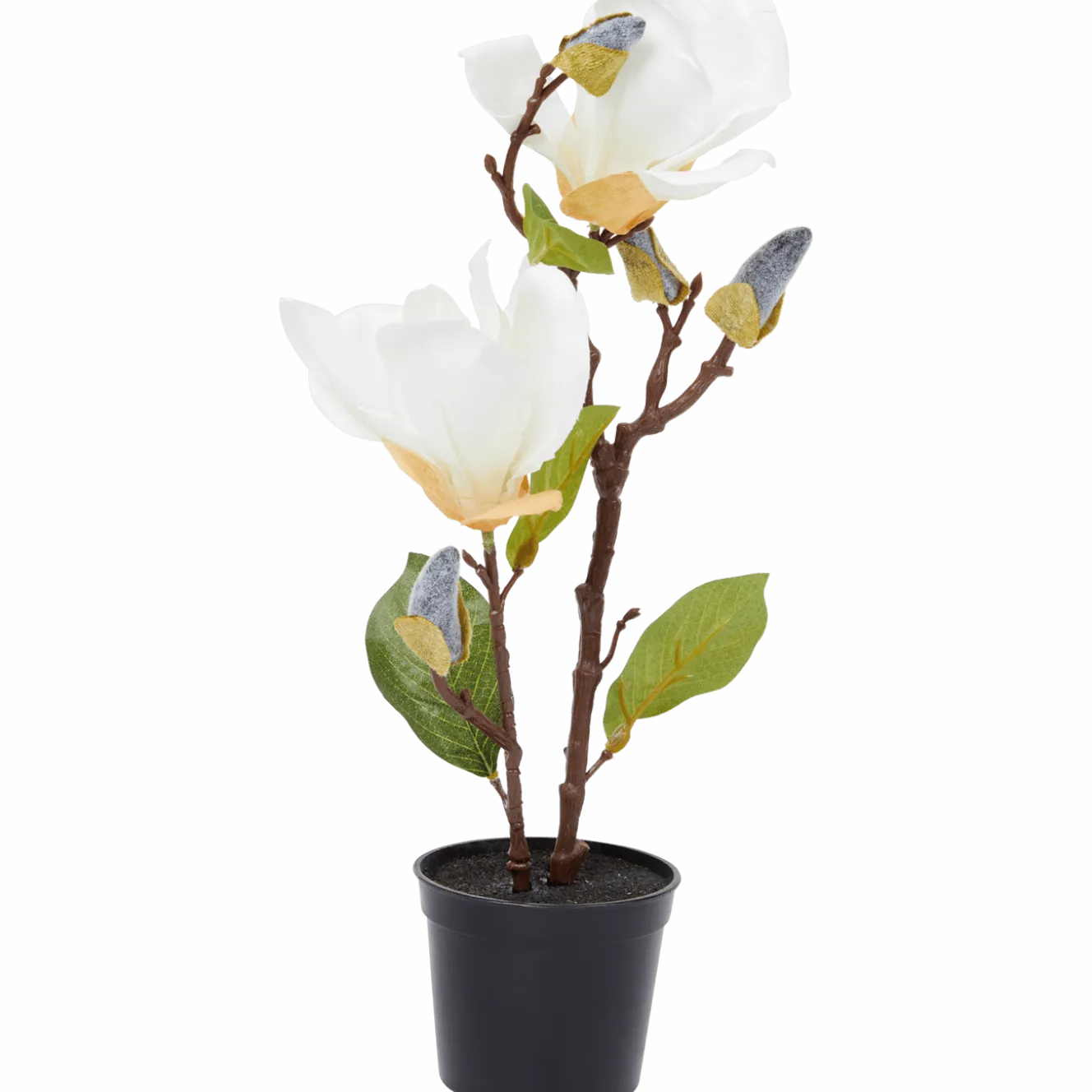 Kunstmagnolia in pot