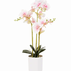 Kunst orchidee in pot