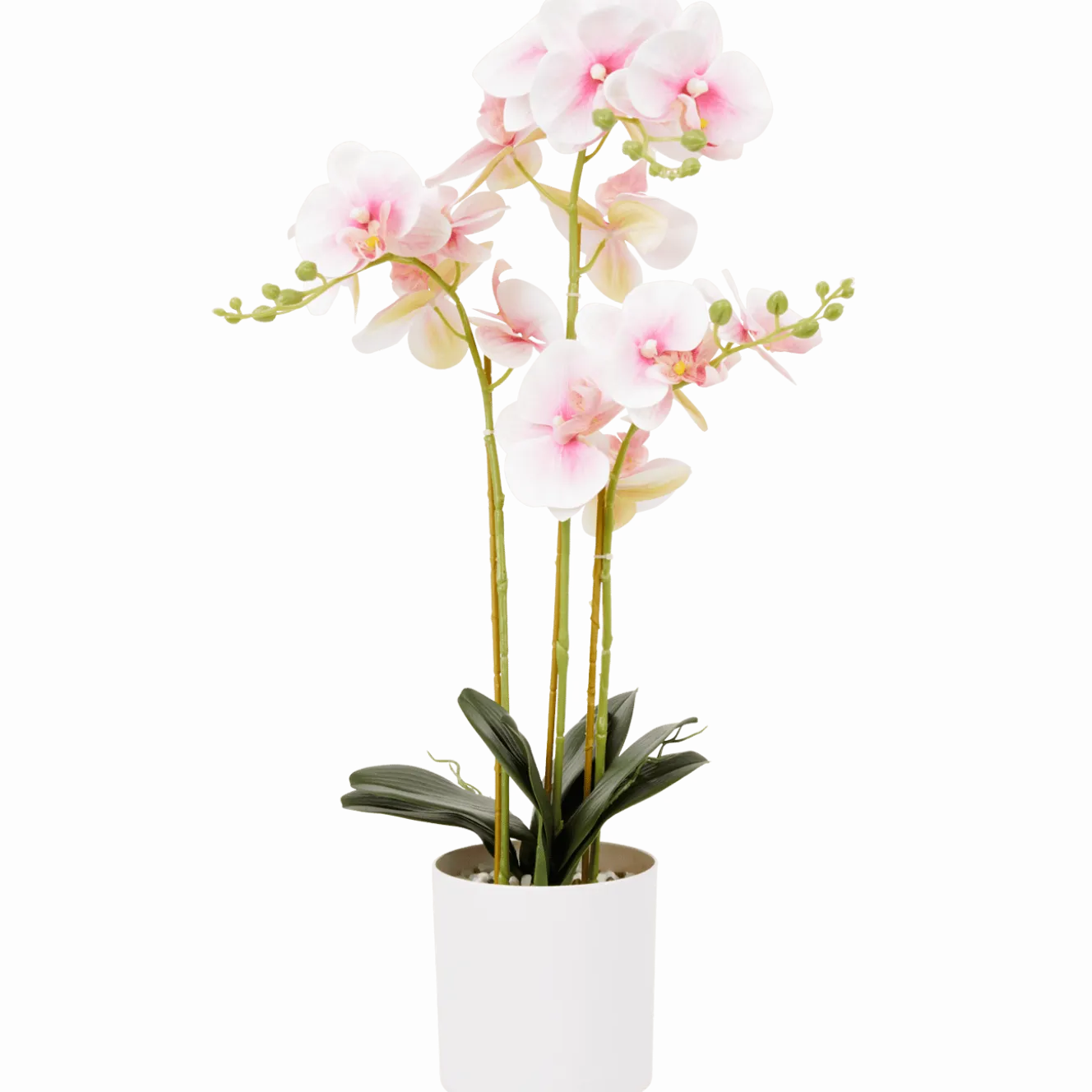Kunst orchidee in pot