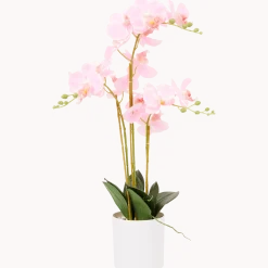 Kunst orchidee in pot