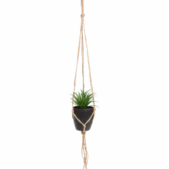 Kunst-vetplant in hangpotje