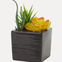 Kunst-vetplant in pot
