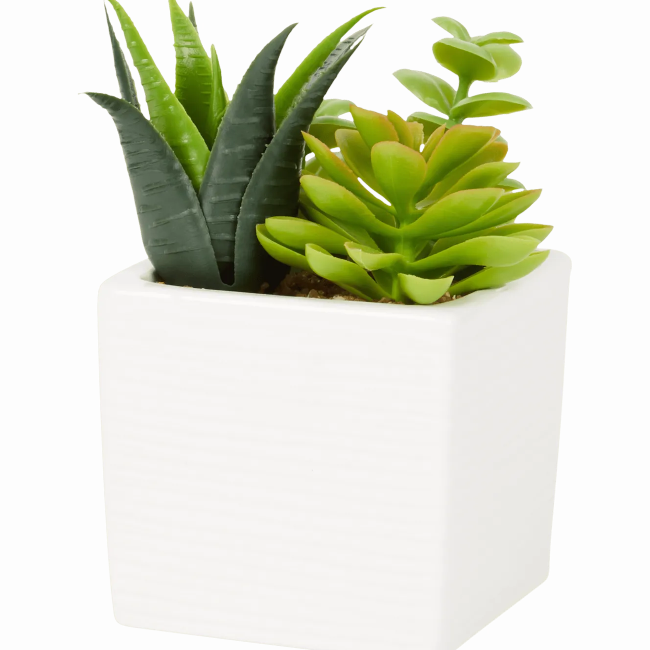 Kunst-vetplant in pot