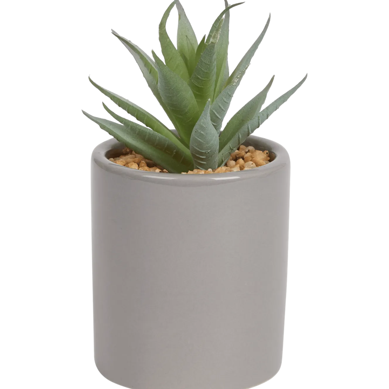 Kunst vetplant in pot