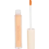 Max & More concealer
