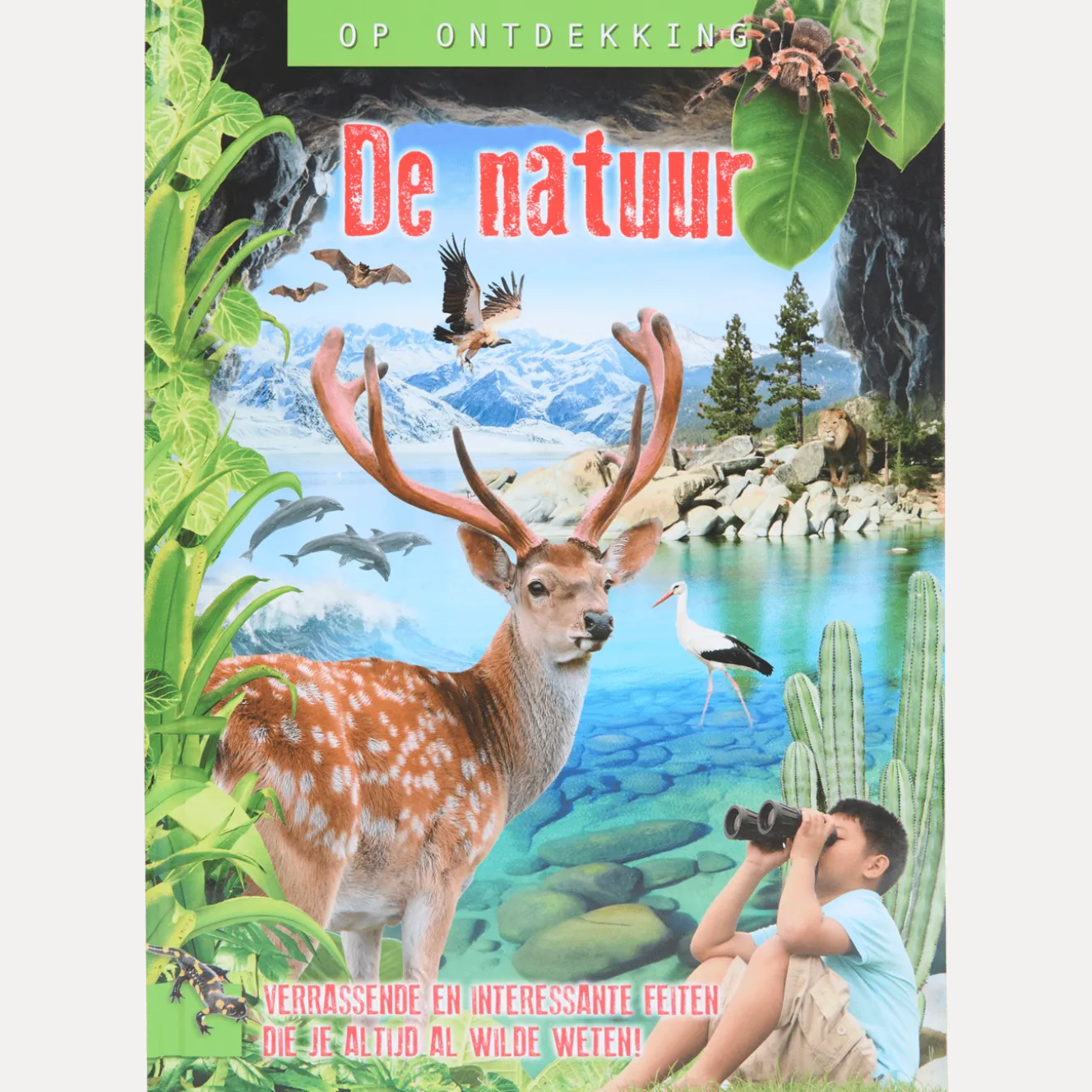 Ontdekkingsboek