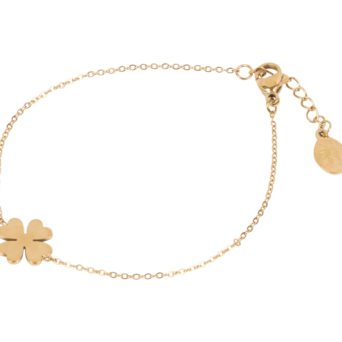 Royal Divas roestvrijstalen armband
