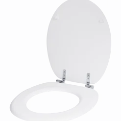 Toiletbril
