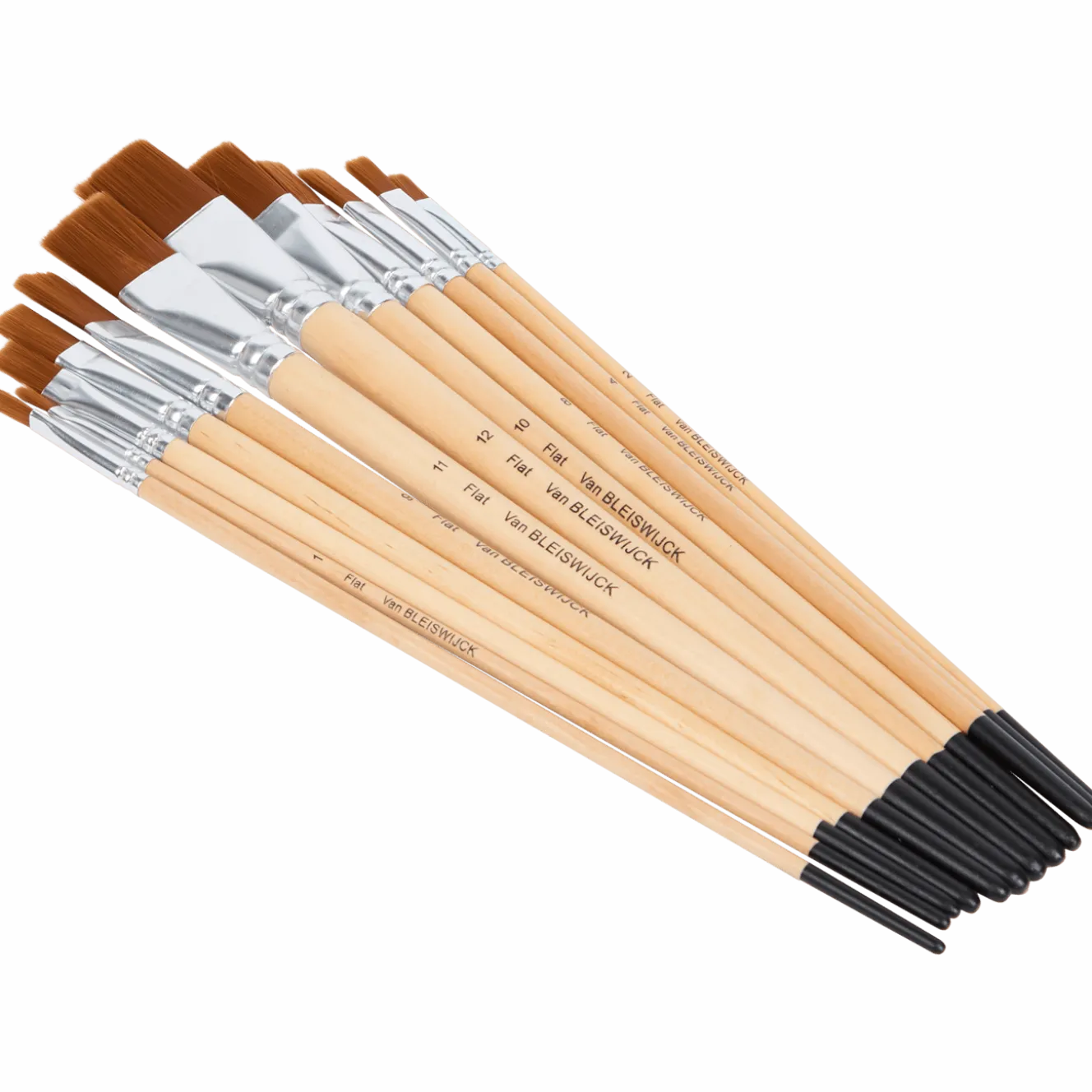 Van Bleiswijck penselenset