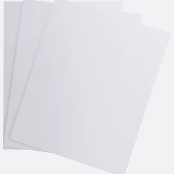 Van Bleiswijck schilderspanelen
