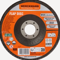 Werckmann lamellenschijf