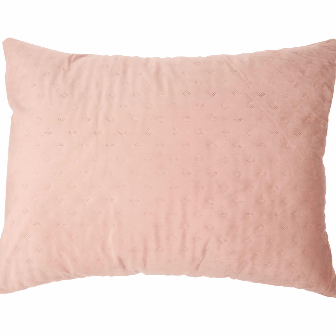 XL velvet sierkussen